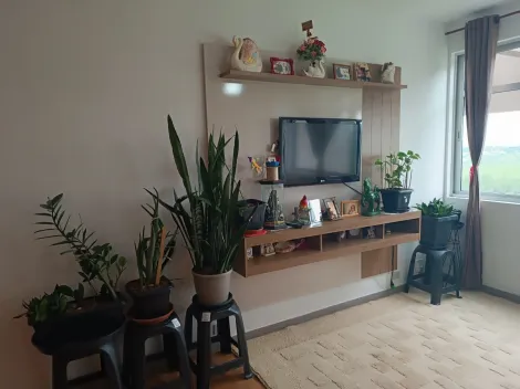 imagem 1 - APARTAMENTO À VENDA - 115m² - 3 DORMITÓRIOS 2 BANHEIROS SEM SUÍTE - CONDOMÍNIO EDIFÍCIO COTE D´Or - SJC imagem 1 - APARTAMENTO À VENDA - 115m² - 3 DORMITÓRIOS 2 BANHEIROS SEM SUÍTE - CONDOMÍNIO EDIFÍCIO COTE D´Or - SJC