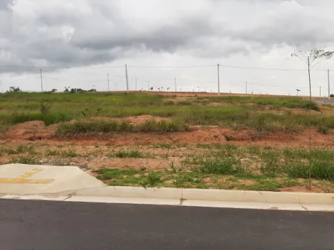 imagem 3 - LOTE DE TERRENO SITUADO NO LOTEAMENTO VILA AMÉLIA COM 200 METROS QUADRADOS - EM BREVE INICIO PARA CONSTRUI. imagem 3 - LOTE DE TERRENO SITUADO NO LOTEAMENTO VILA AMÉLIA COM 200 METROS QUADRADOS - EM BREVE INICIO PARA CONSTRUI.